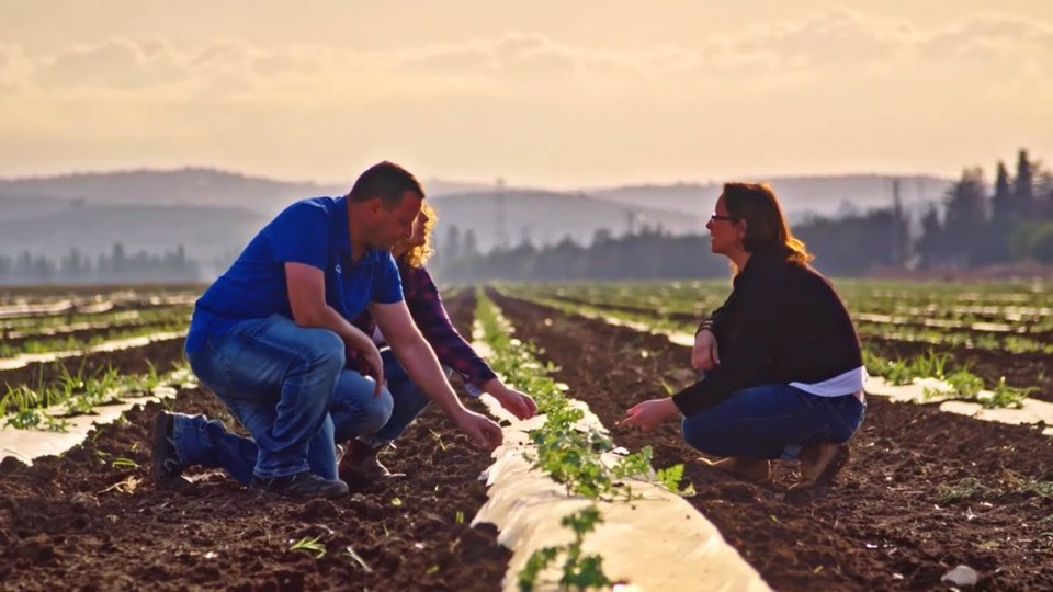 Tate & Lyle regenerative agriculture film